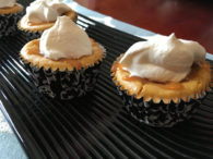 Pumpkin Cheese(cup)cakes